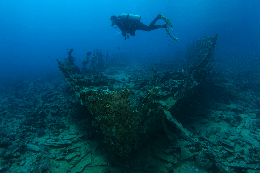 Bonnie Castle Ship Wreck